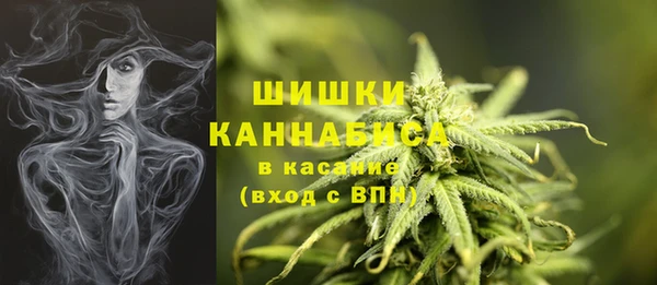 МДПВ Каменногорск