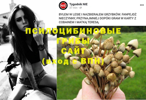jwh Каменка