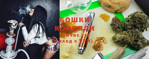 МДПВ Каменногорск