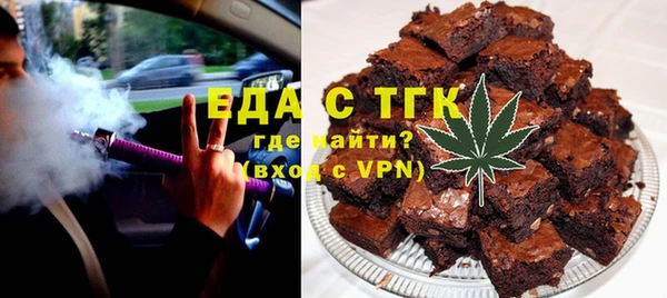 индика Карпинск