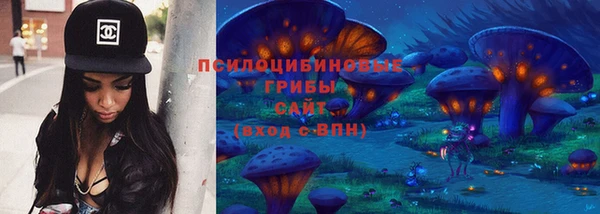 МДПВ Каменногорск
