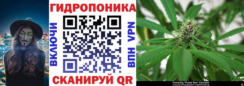 Шишки марихуана планчик Лакинск